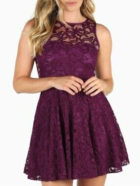 〰️Blackmilk〰️ Aubergine Lace Mini Skater Dress XL